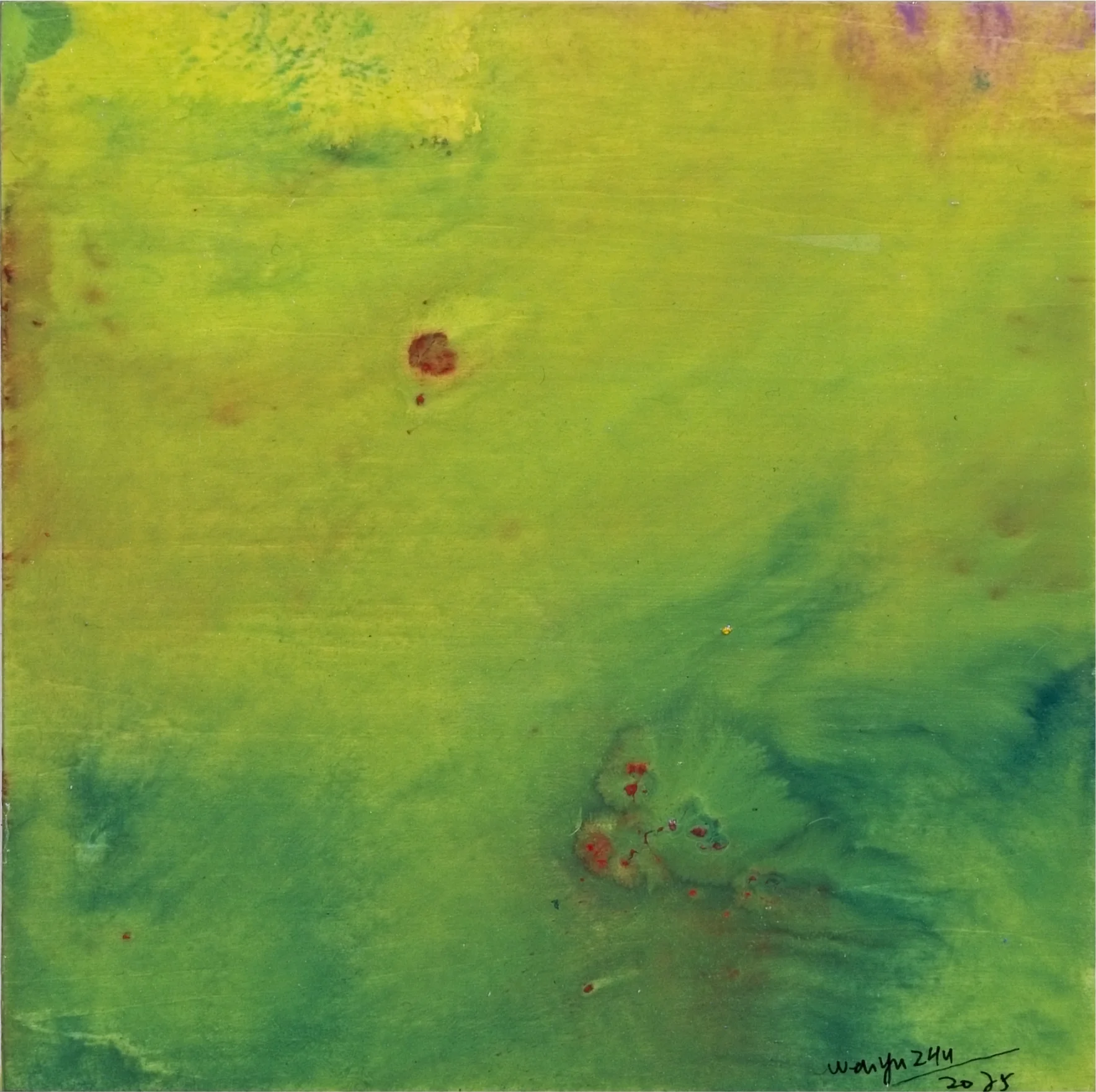 Nappe, ZHU Wenyu